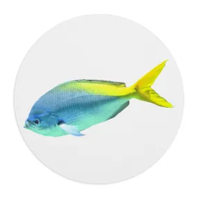 Light Blue and Yellow Fish Mouse Pad