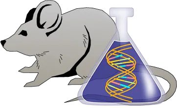 Mouse Factor XII Genetically Deficient Heart Tissue Lysate