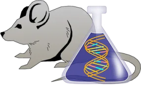 Mouse Factor XII Genetically Deficient Heart Tissue Lysate