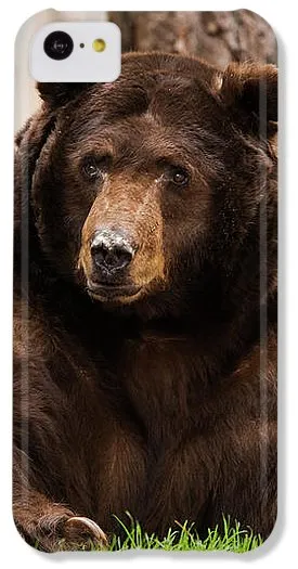 The King Of Tahoe By Brad Scott - Phone Case