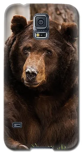 The King Of Tahoe By Brad Scott - Phone Case