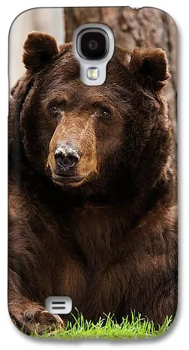 The King Of Tahoe By Brad Scott - Phone Case