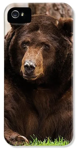 The King Of Tahoe By Brad Scott - Phone Case