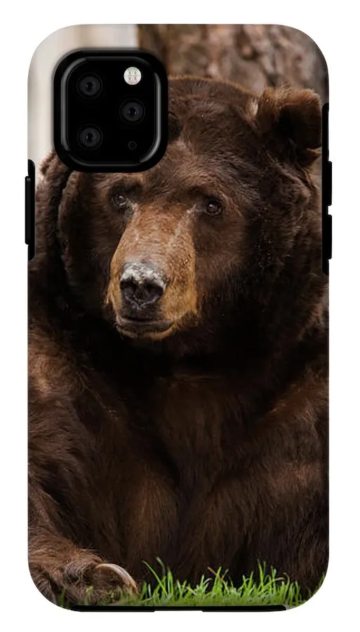 The King Of Tahoe By Brad Scott - Phone Case