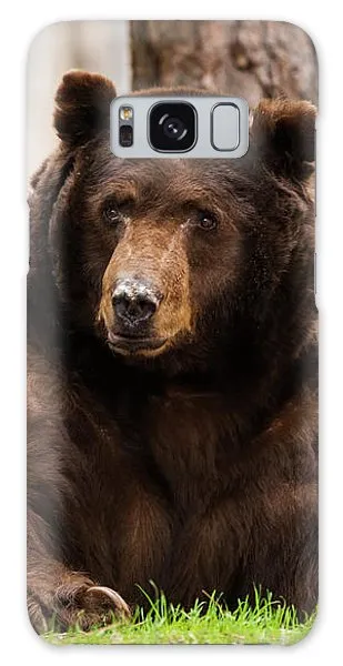 The King Of Tahoe By Brad Scott - Phone Case