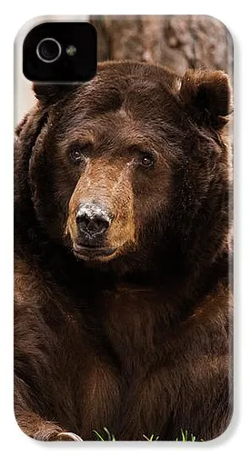 The King Of Tahoe By Brad Scott - Phone Case