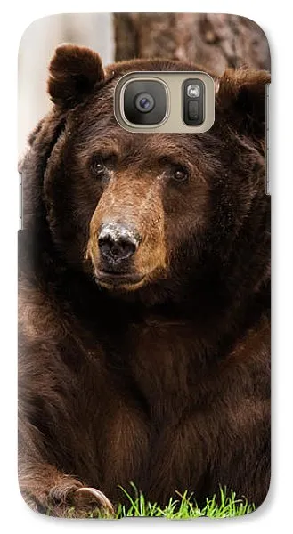 The King Of Tahoe By Brad Scott - Phone Case