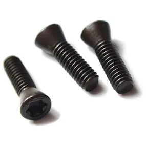 Torx Screw For Inserts