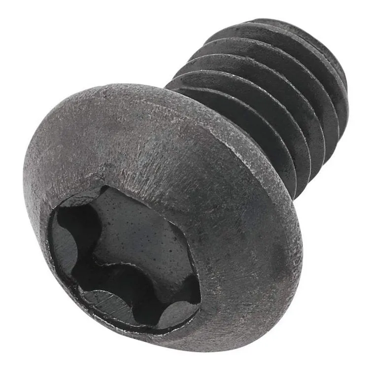 Torx Screws M3 X 55