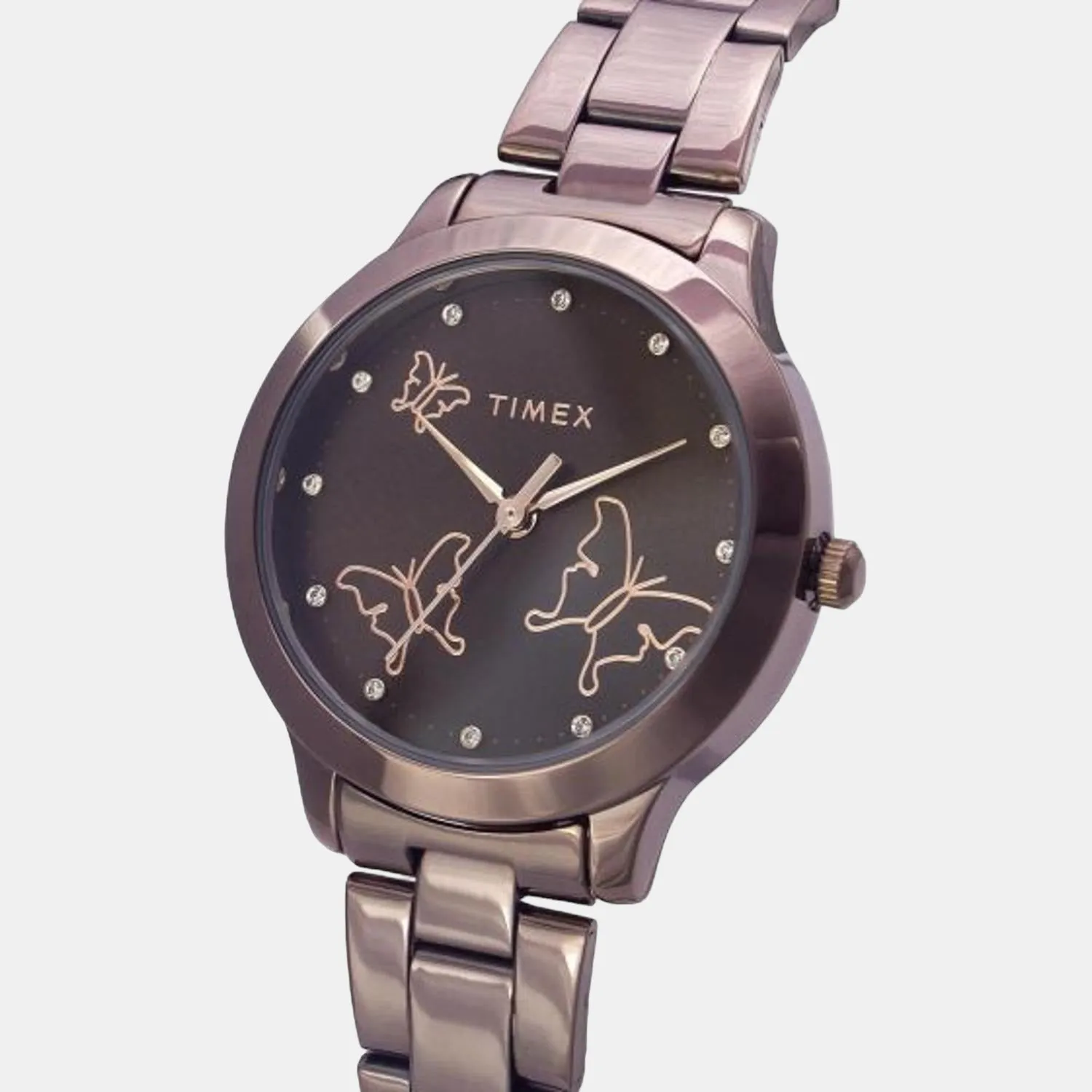 Women's Brown Analog Stainless Steel Watch TW000T632